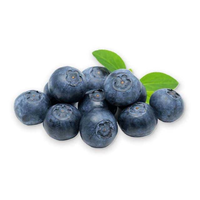Fresh blue berry