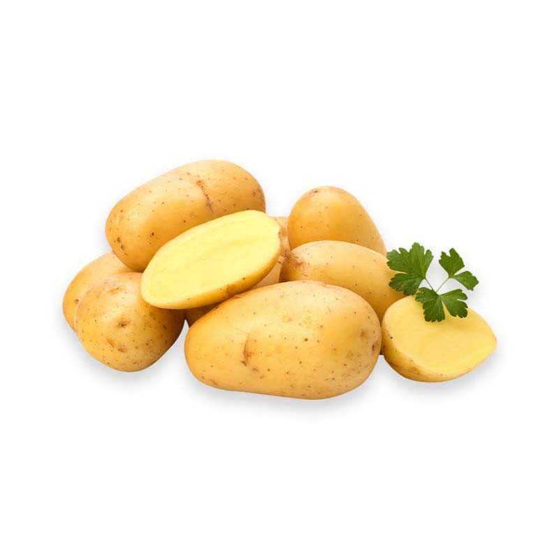 Ecuador Red Potato