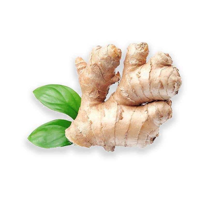 Jamaica Ginger